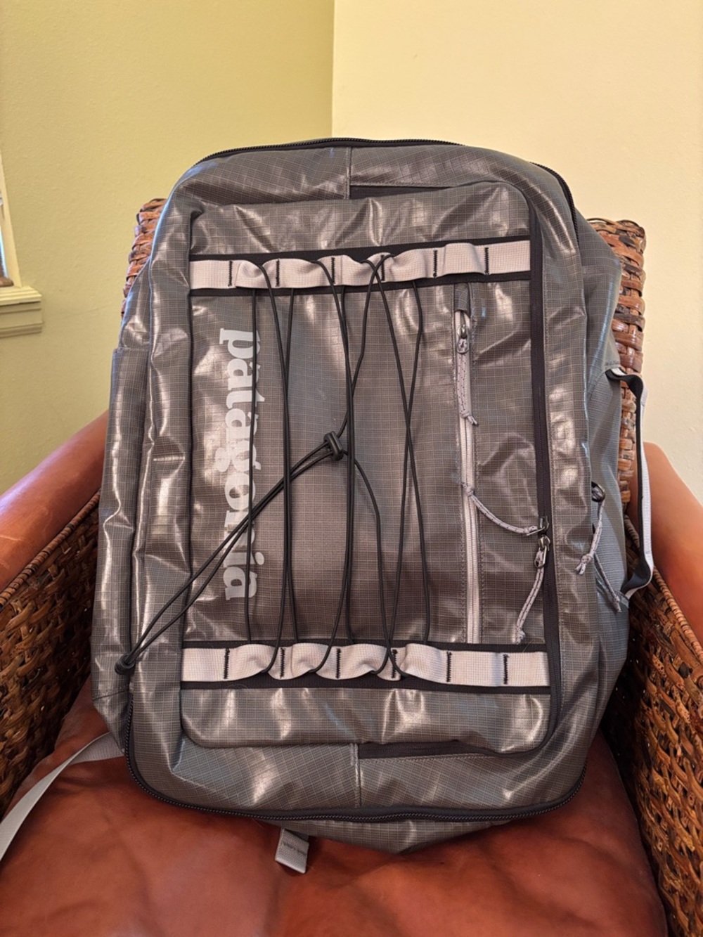 Patagonia Silver Gray Backpack with Black Cord